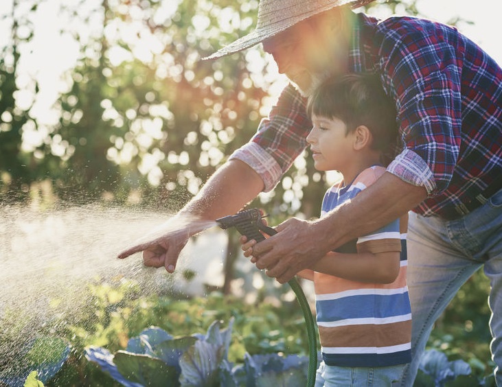 watering the garden